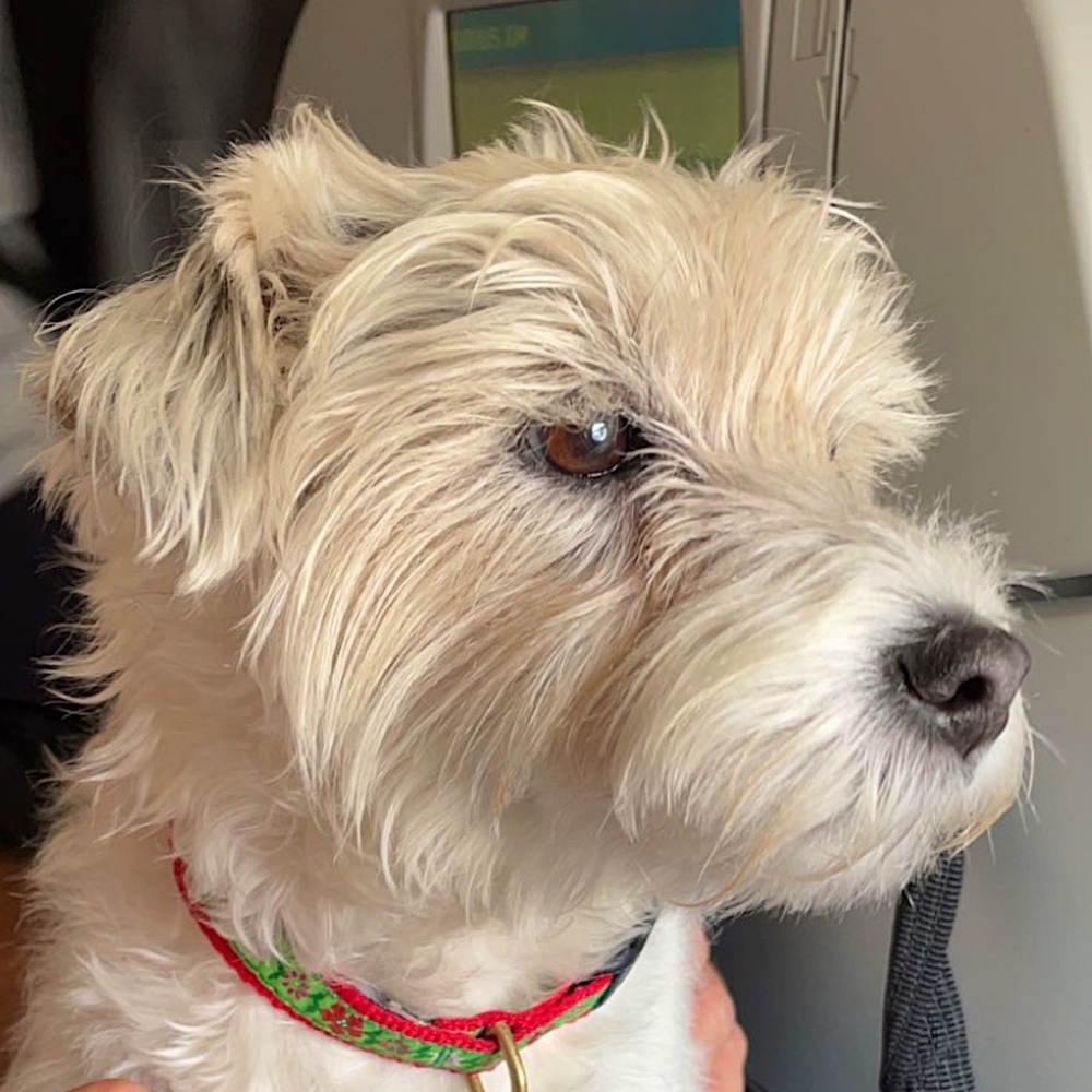 Meet your Posher, Emma